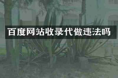 百度网站收录代做违法吗