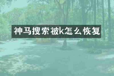 神马搜索被k怎么恢复