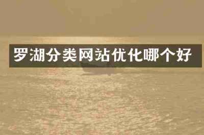 罗湖分类网站优化哪个好