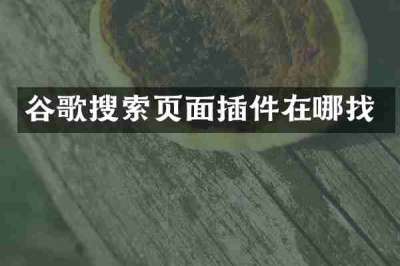 谷歌搜索页面插件在哪找