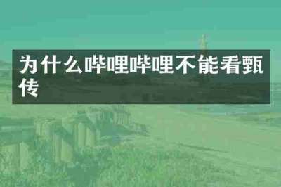 为什么哔哩哔哩不能看甄嬛传