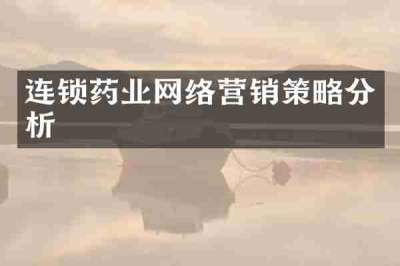 连锁药业网络营销策略分析
