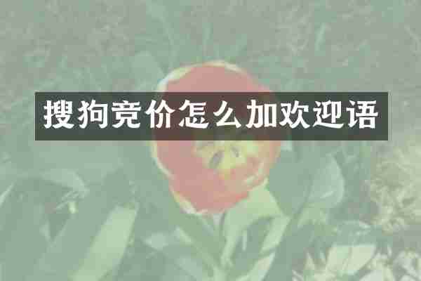 搜狗竞价怎么加欢迎语