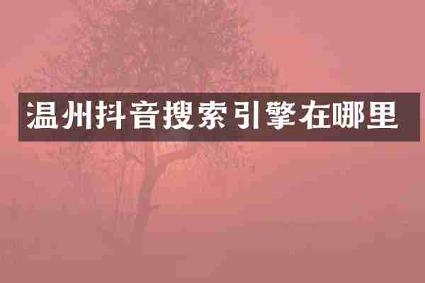 温州抖音搜索引擎在哪里