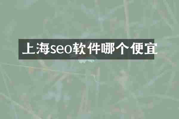 上海seo软件哪个便宜
