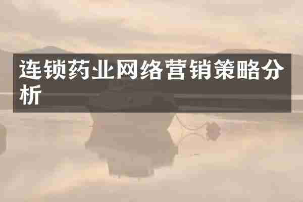 连锁药业网络营销策略分析