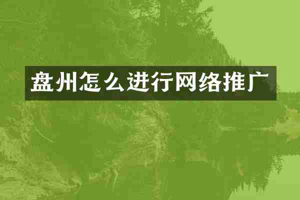 盘州怎么进行网络推广