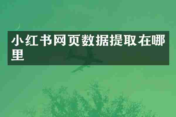小红书网页数据提取在哪里