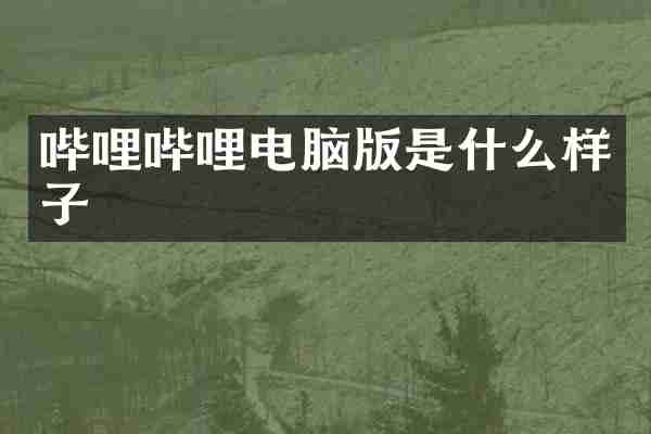 哔哩哔哩电脑版是什么样子