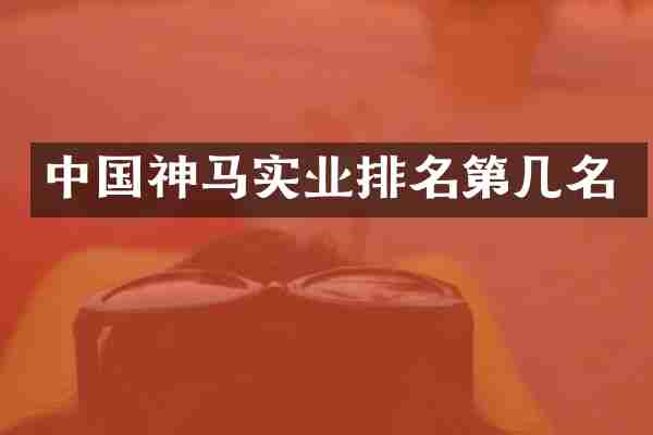中国神马实业排名第几名
