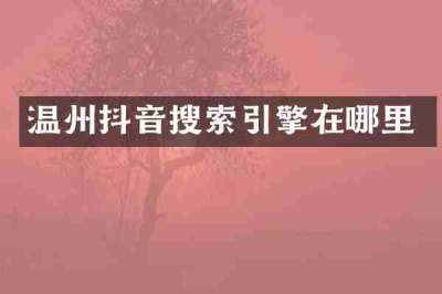 温州抖音搜索引擎在哪里