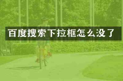 百度搜索下拉框怎么没了
