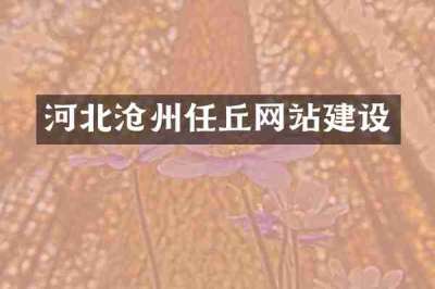 河北沧州任丘网站建设