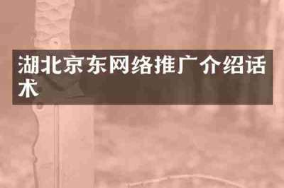 湖北京东网络推广介绍话术