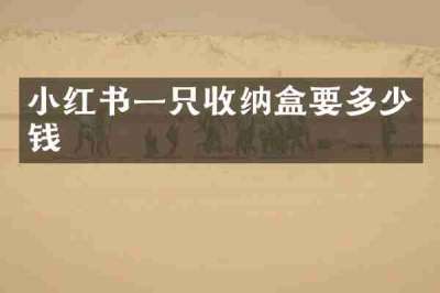 小红书一只收纳盒要多少钱