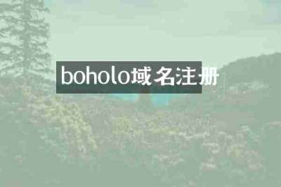 boholo域名注册