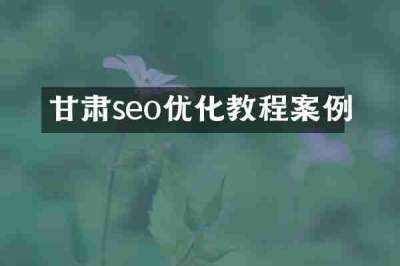 甘肃seo优化教程案例