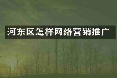 河东区怎样网络营销推广