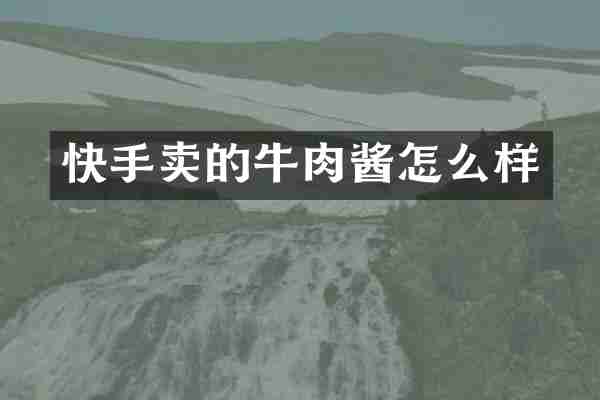 快手卖的牛肉酱怎么样