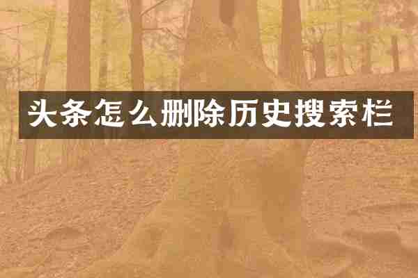 头条怎么删除历史搜索栏