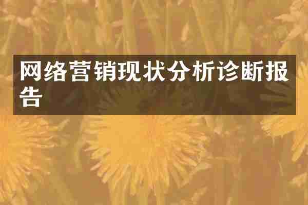 网络营销现状分析诊断报告