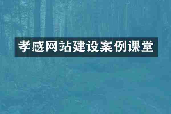 孝感网站建设案例课堂