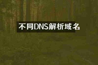 不同DNS解析域名