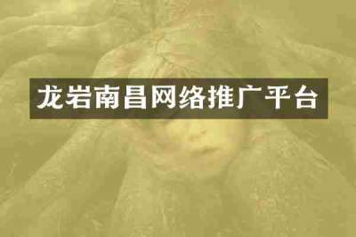龙岩南昌网络推广平台