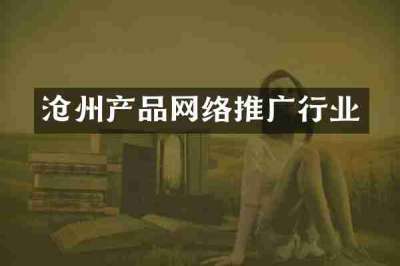沧州产品网络推广行业