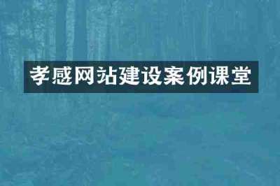 孝感网站建设案例课堂