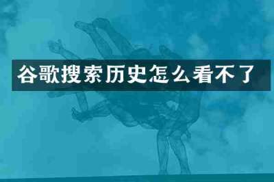 谷歌搜索历史怎么看不了