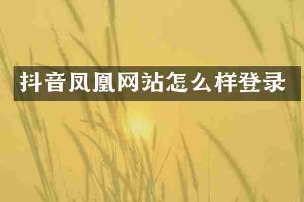 抖音凤凰网站怎么样登录