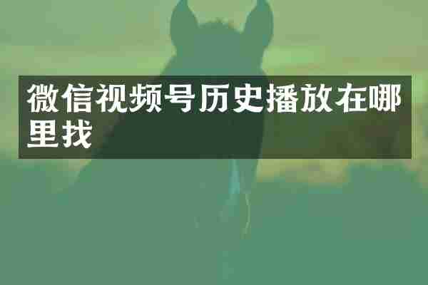 微信视频号历史播放在哪里找