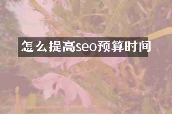 怎么提高seo预算时间