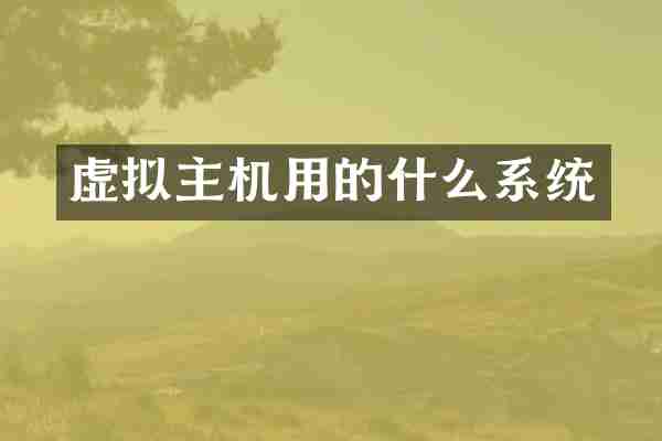 虚拟主机用的什么系统
