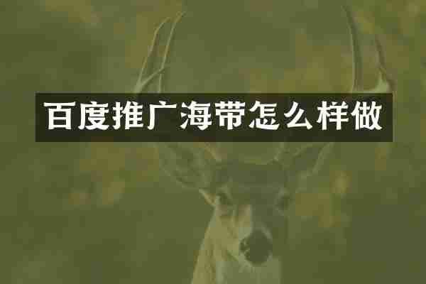 百度推广海带怎么样做
