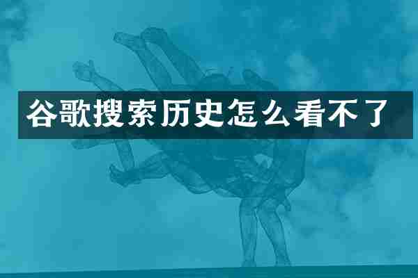 谷歌搜索历史怎么看不了
