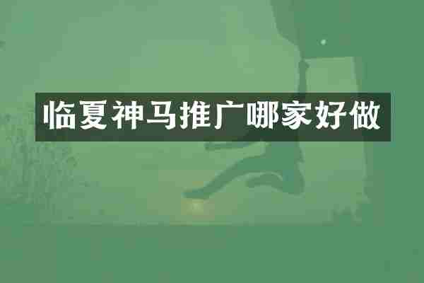 临夏神马推广哪家好做