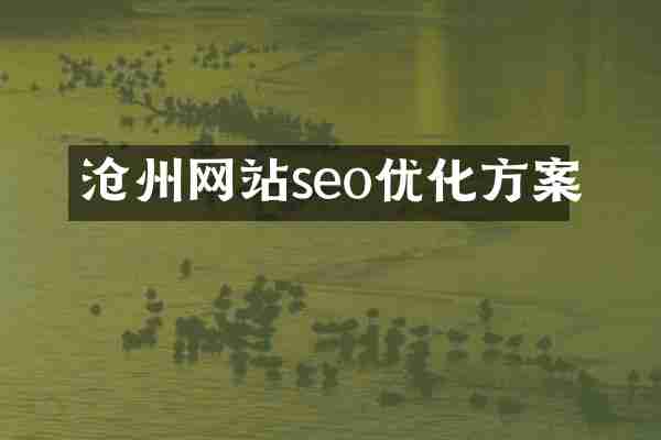 沧州网站seo优化方案