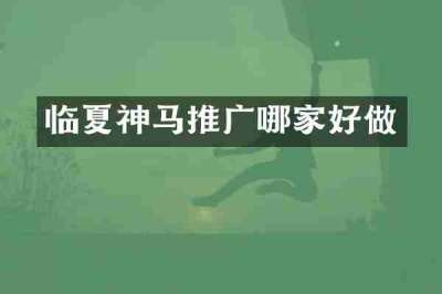 临夏神马推广哪家好做