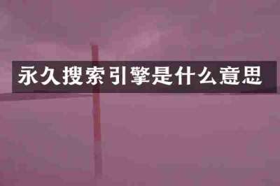 永久搜索引擎是什么意思