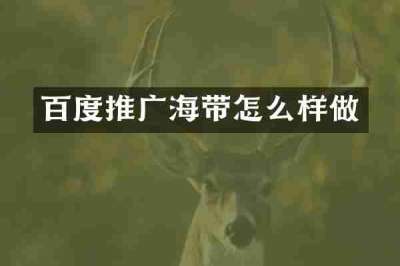 百度推广海带怎么样做