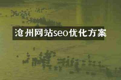 沧州网站seo优化方案