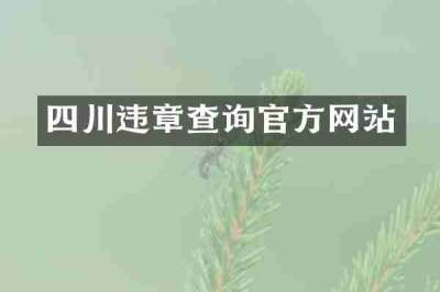 四川违章查询官方网站