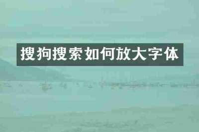 搜狗搜索如何放大字体