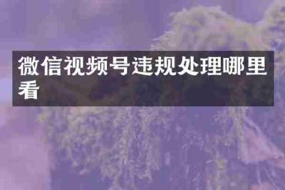 微信视频号违规处理哪里看