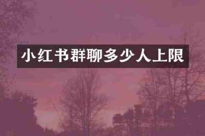 小红书群聊多少人上限
