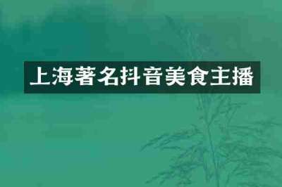 上海著名抖音美食主播