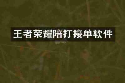 王者荣耀陪打接单软件