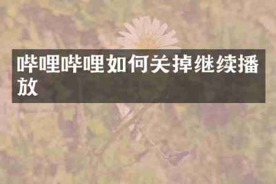 哔哩哔哩如何关掉继续播放